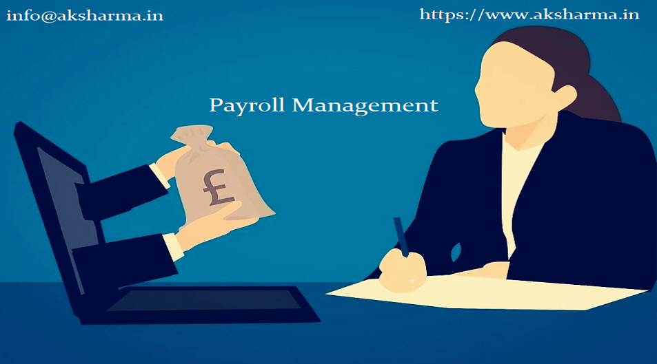 about- Payroll Management in Gurugram